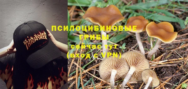 СК Армянск