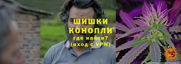 СК Арсеньев