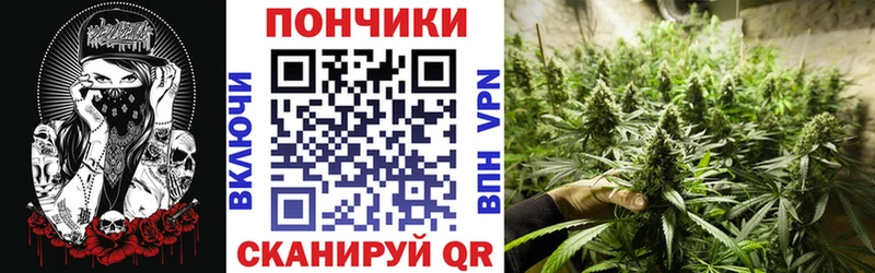 Шишки марихуана марихуана  Бакал 